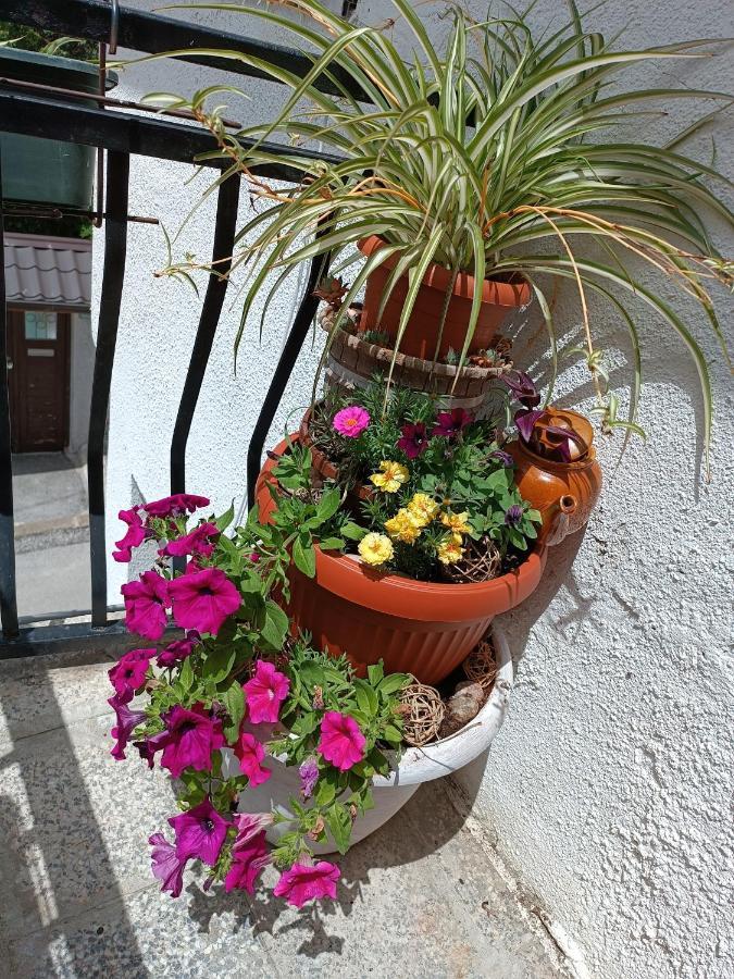 Apartman Ohren SJJ Exterior photo